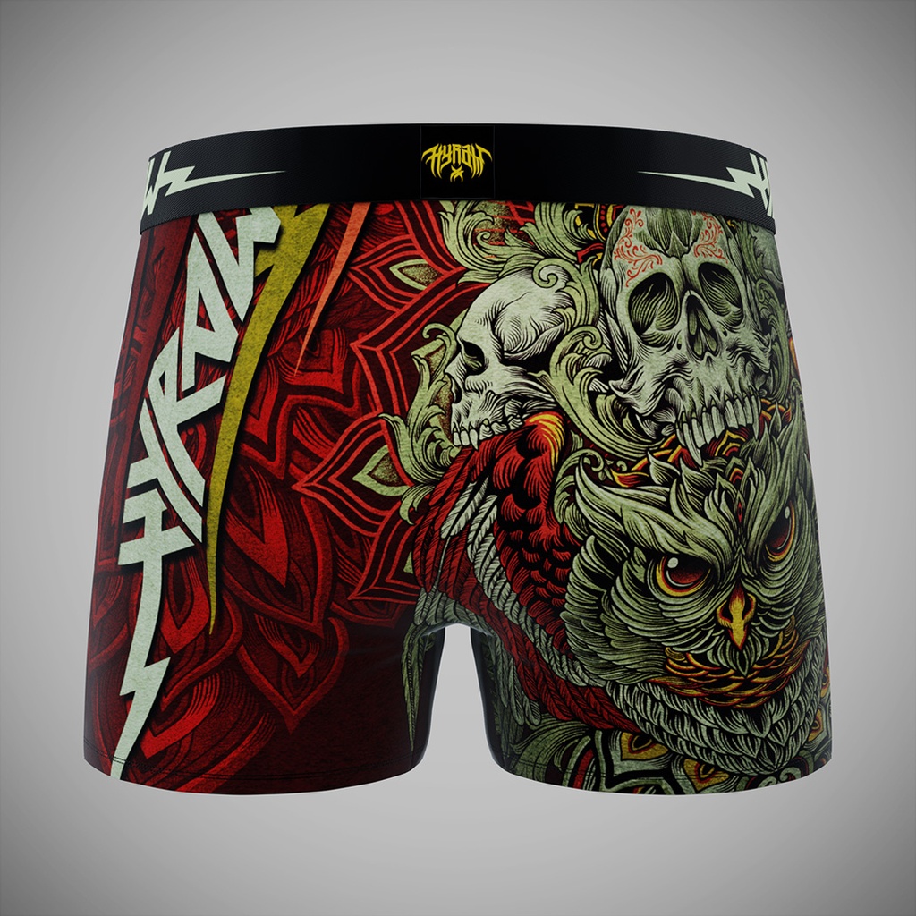 Pack 4 Boxers HYRAW X FREEGUN 2024